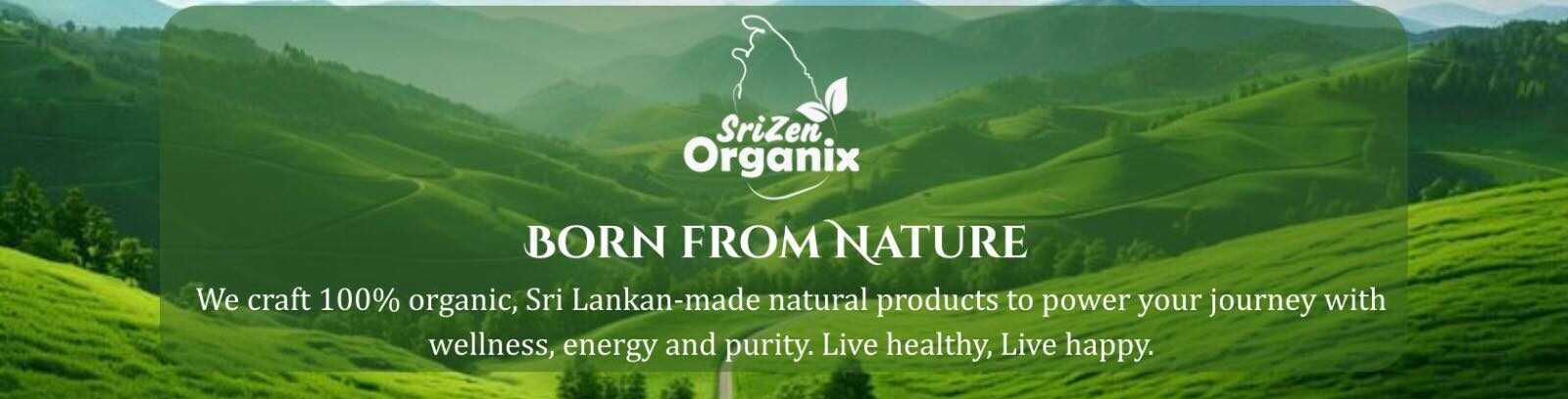 Date Nut Boost - 400g/pk